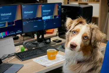 Special Cleaning Tips for Pet-Friendly Workspaces