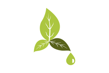 Green Cleaning Certifications: What Do They Mean?